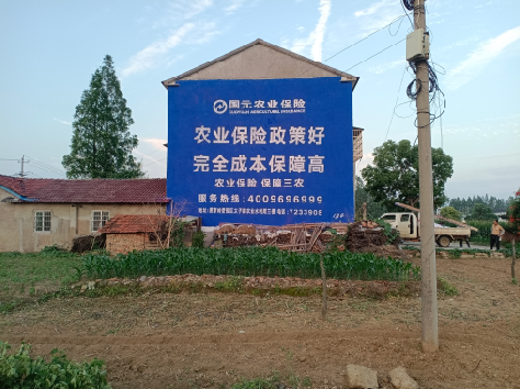 绵阳墙体广告为何受追捧？