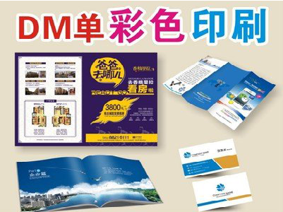 绵阳单页印刷,色彩搭配简单。